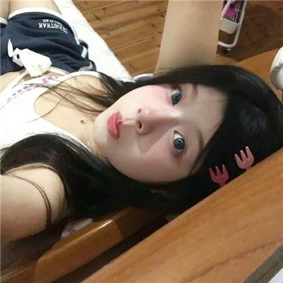 北极征熊记